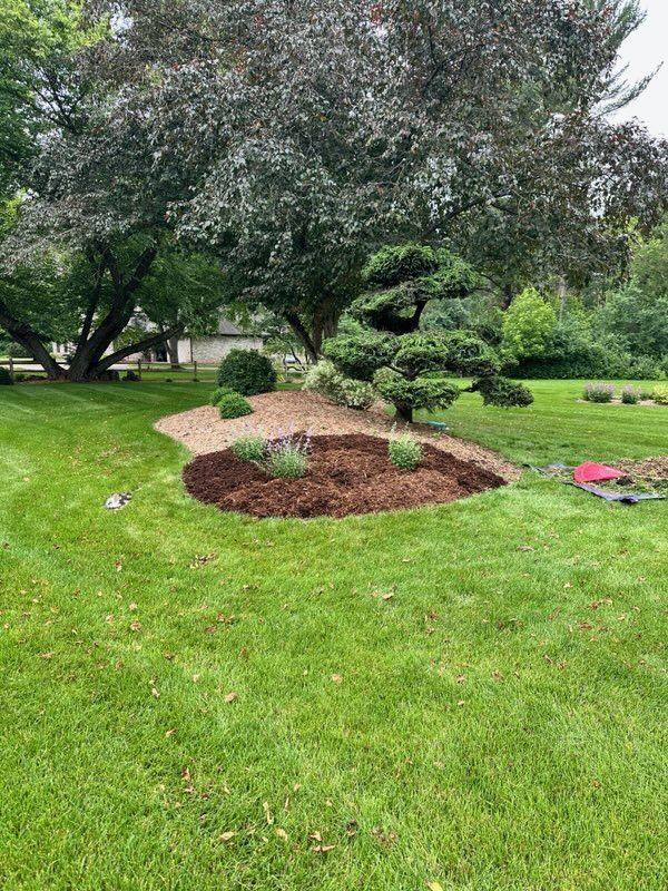 Pom Pom Tree Transformation with Fresh Cat Mint | Matt’s Landscaping