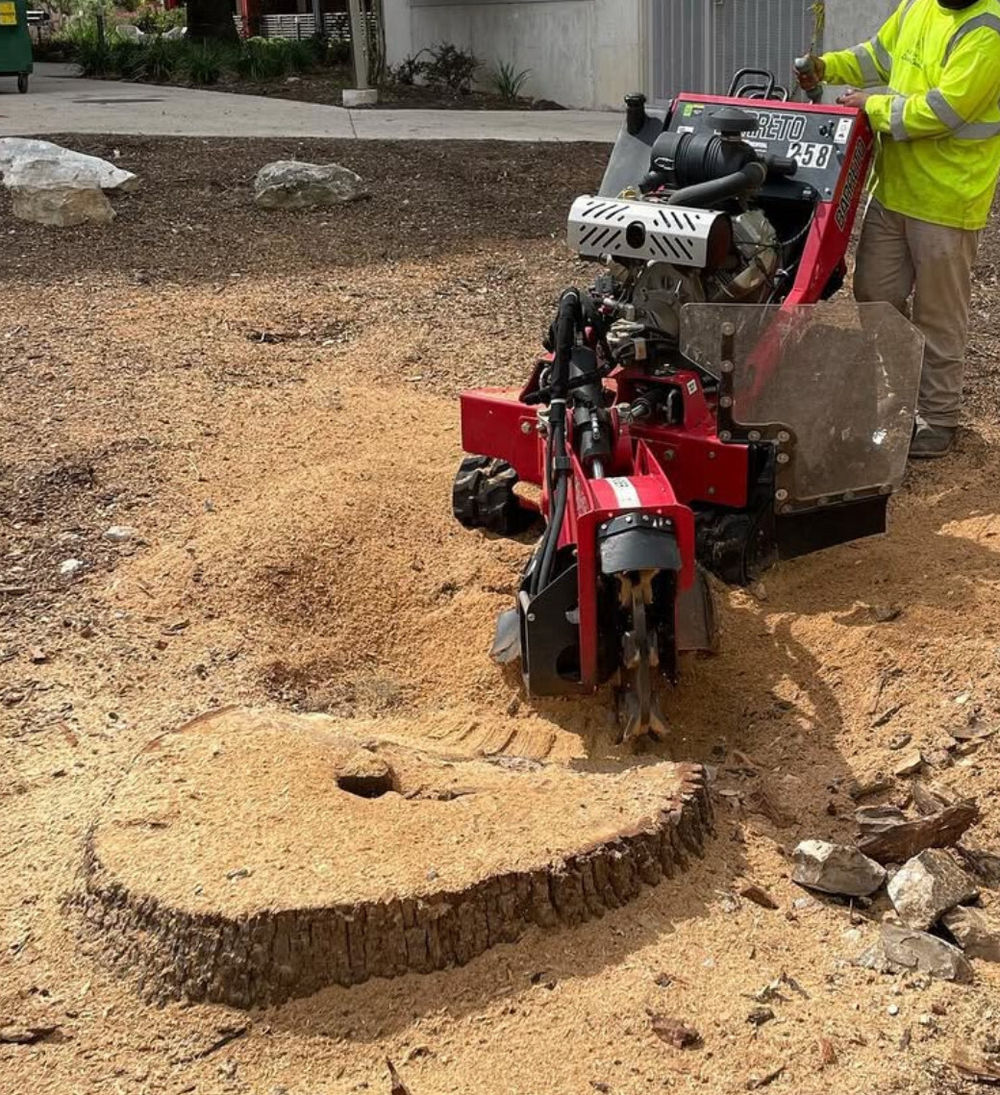Stump Grinding Services - Expert Landscaping | Austin's Best Lawn and ...