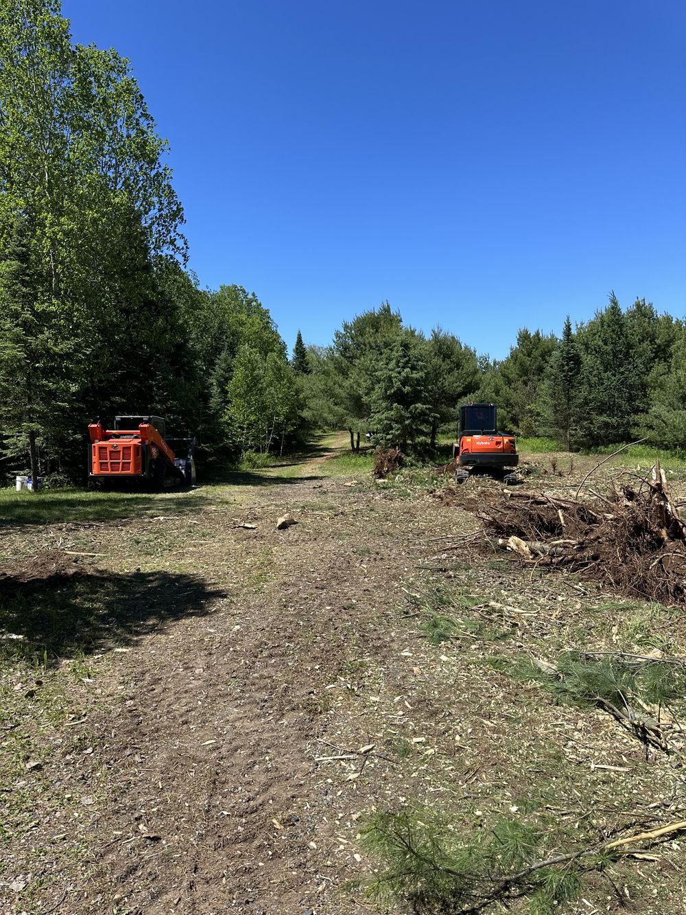 Land Clearing & Brush Removal Services | J&J Excavation