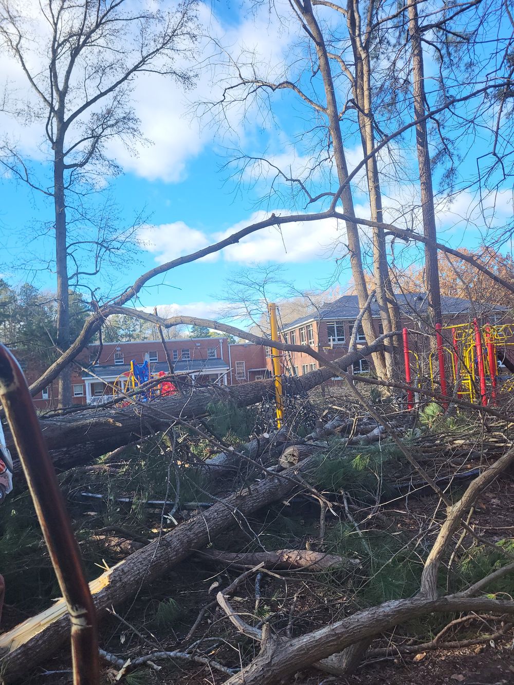 Storm Damage Cleanup Services | East Coast Trimmers Tree Service