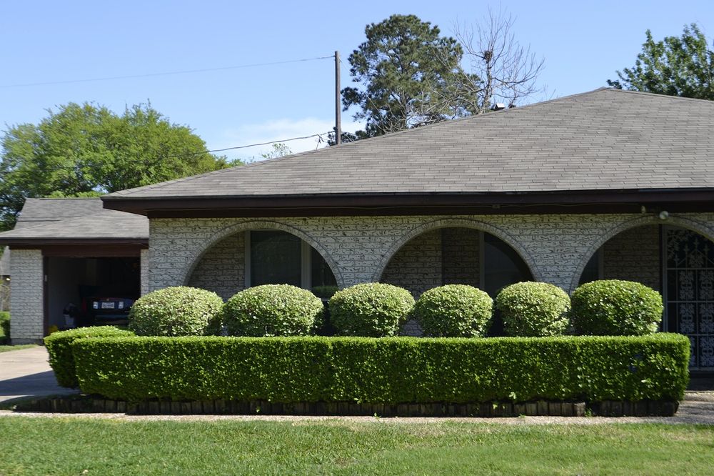 Hedge Trimming Services | Laudenbach Outdoor Innovations LLC