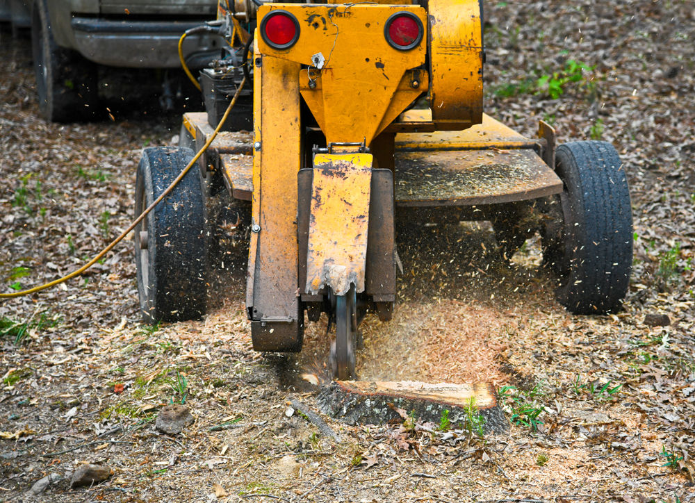 Tree Removal & Stump Grinding Services - Andrews Hardscaping
