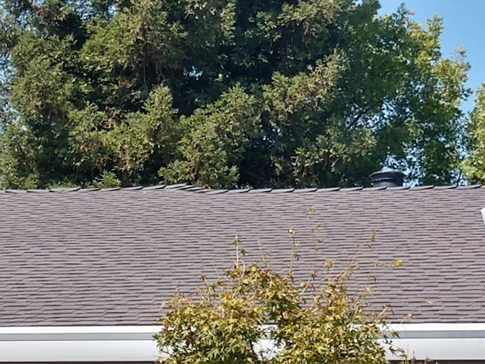 Seamless Gutters Service - Protect Your Home | Alta Cal Roofing