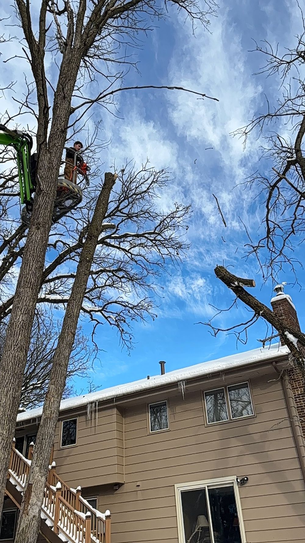 Tree Removal Services | Safe & Efficient | Extra Mile Outdoor Services