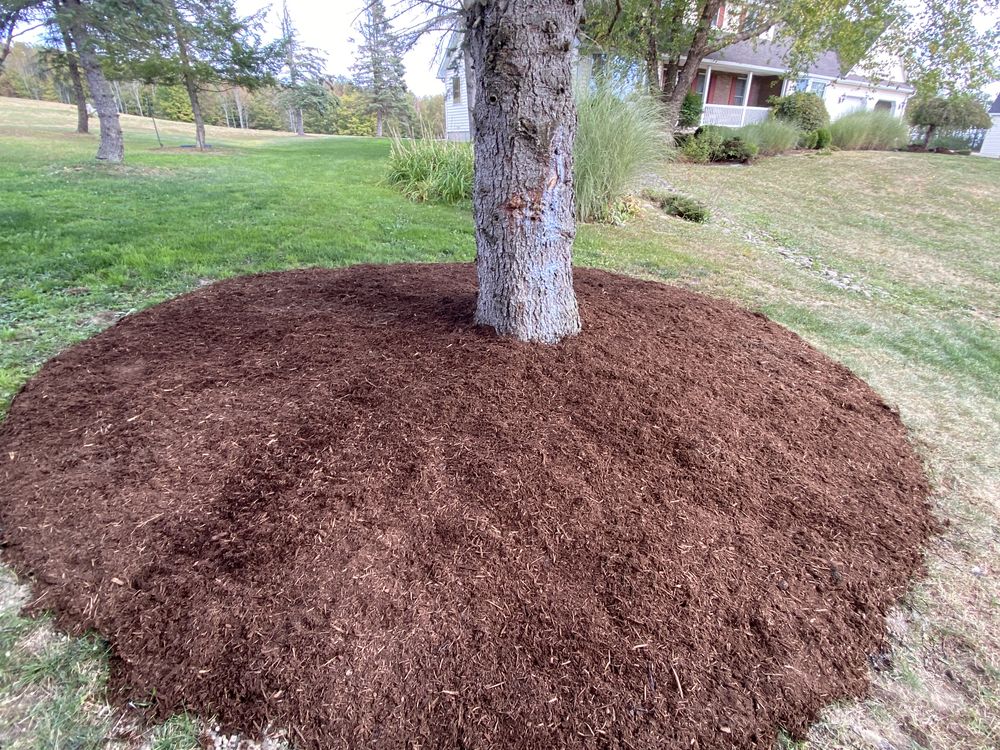 Professional Mulch Installation Services | Top Notch Landscaping