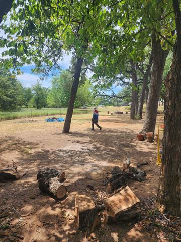 Revitalizing Outdoor Spaces in Argyle TX