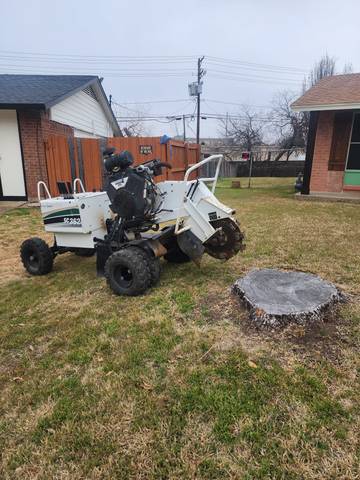 Stump Grinding Mastery in Action