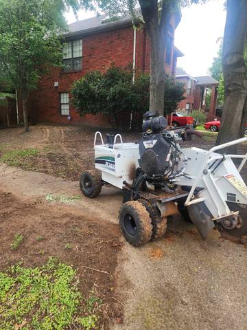 Stump Grinding Done Right in Grapevine TX