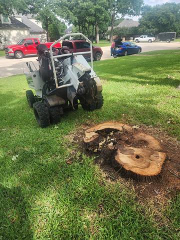 3 Trees Removed and 3 Stumps Ground in Southlake