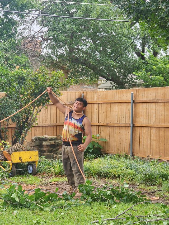 Storm-Damaged Bradford Pear Tree Removal in Irving