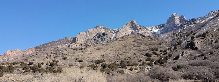 Landscape installation by Lone Pine Landscape in Willard, Utah