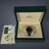 Picture of Rolex GMT Master II "Batgirl"