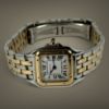 Picture of Cartier Panthere Small W2PN0006