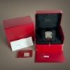 Picture of Cartier Drive de Cartier WGNM0004