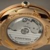 Picture of Cartier Drive de Cartier WGNM0004