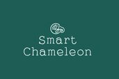 Smart Chameleon 1