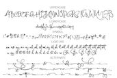 Androgino 12