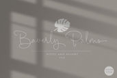 05 Beverly Palms