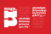 Nuga 02