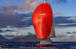 Thumbnail 54663128267 4fb21e132b b