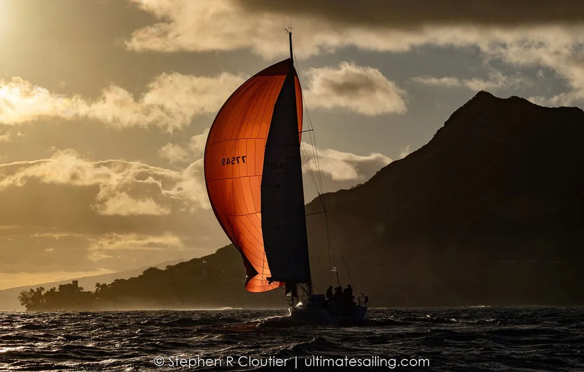 54664192549 4bdf917444 b