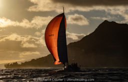 Thumbnail 54664192549 4bdf917444 b