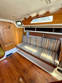 Thumbnail IMG 8966 Large