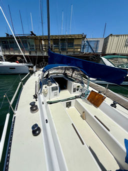 Thumbnail IMG 8979 Large