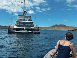 Thumbnail WhatsApp Image 2024 11 18 at 23.57.28