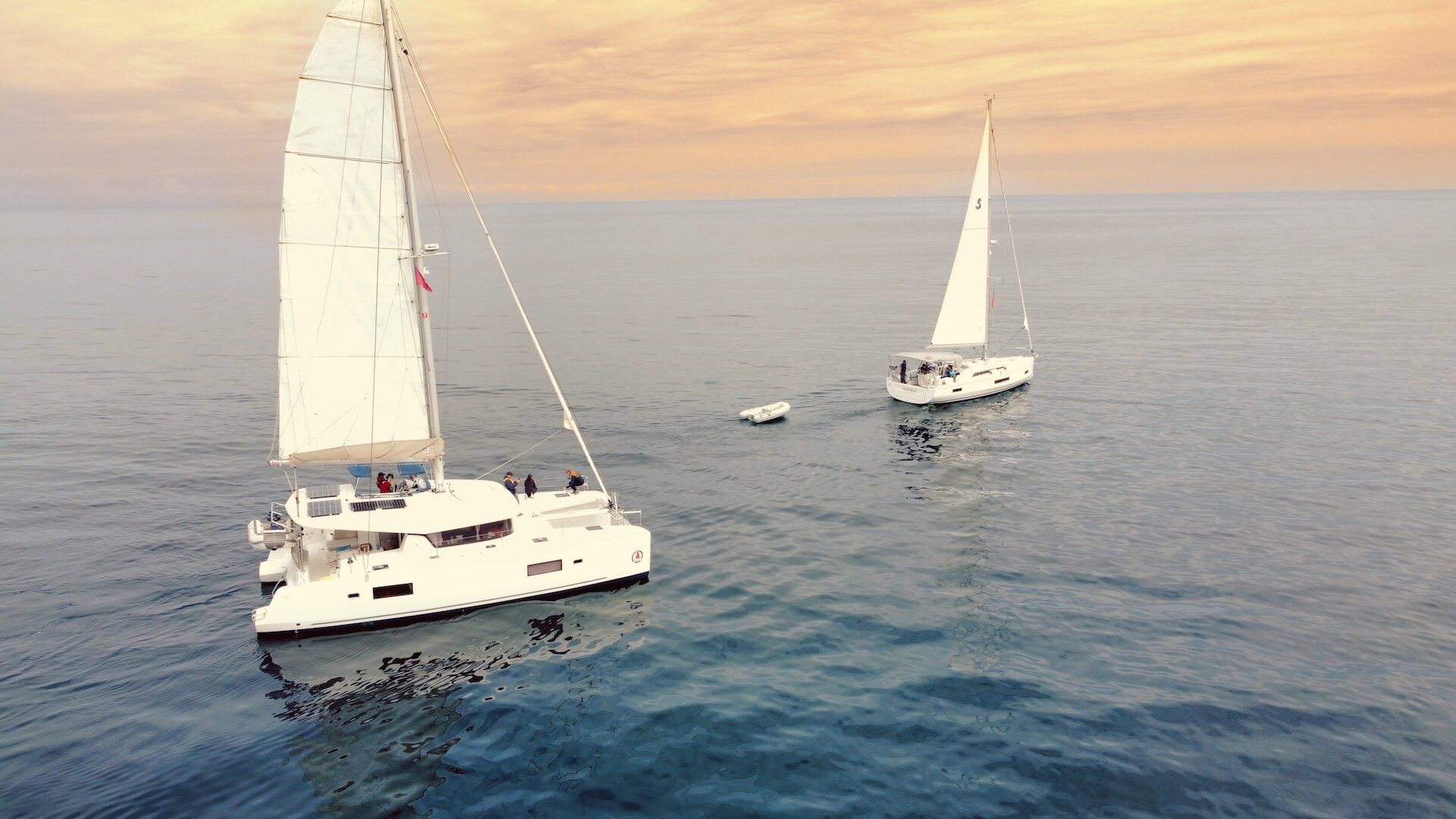 Drone view of a catamaran sailing to Catalina Island