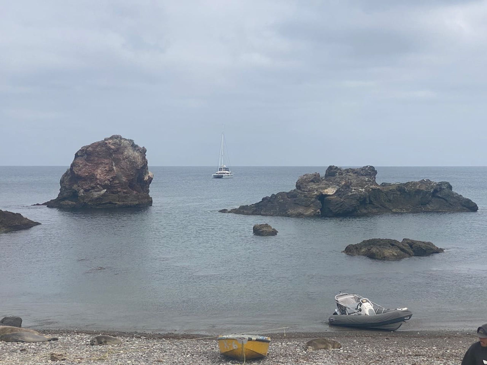 Markdown Monster icon