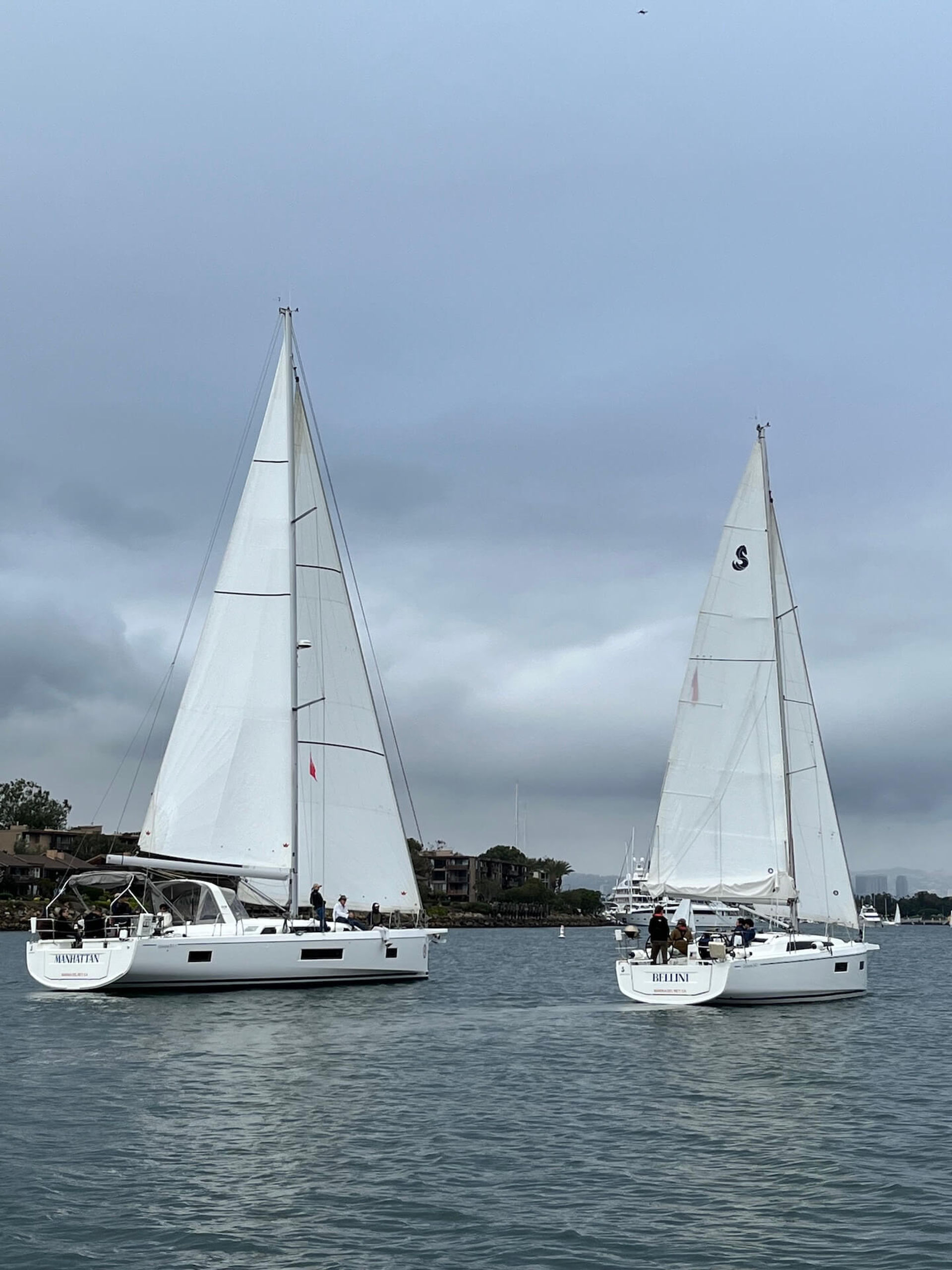 Sailing from Marina del Rey with the coastline in view.