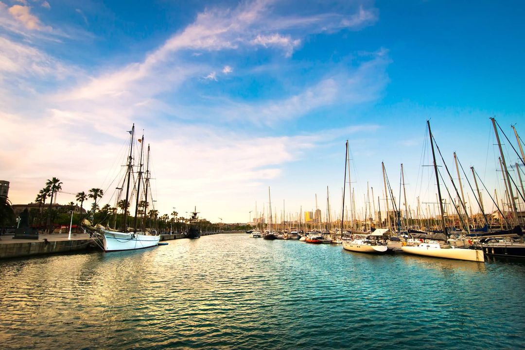 Boat Charters Marina del Rey, CA cover image
