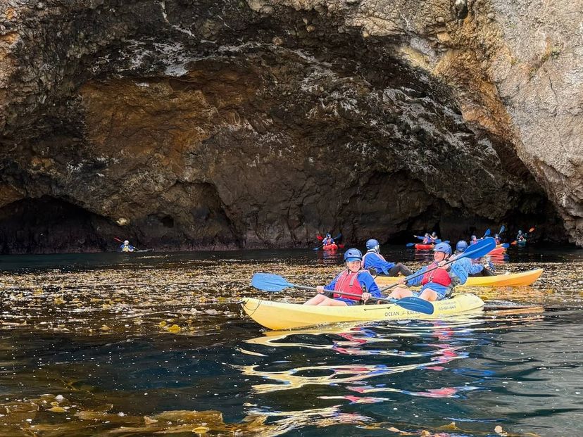 Aerial drone view of a boat anchored in a bay close to seaweed during the flotilla.