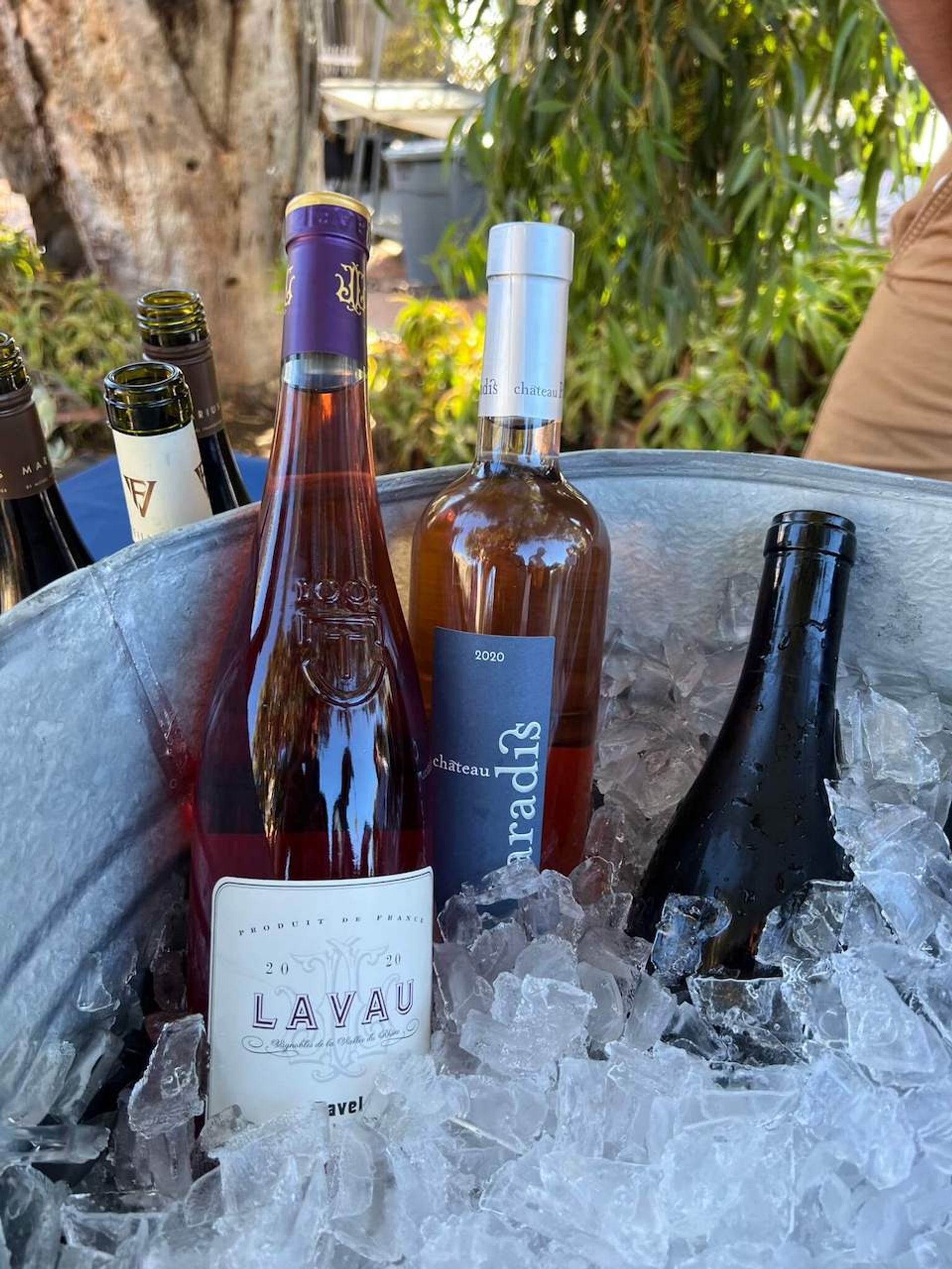 escapade lagoon 2022