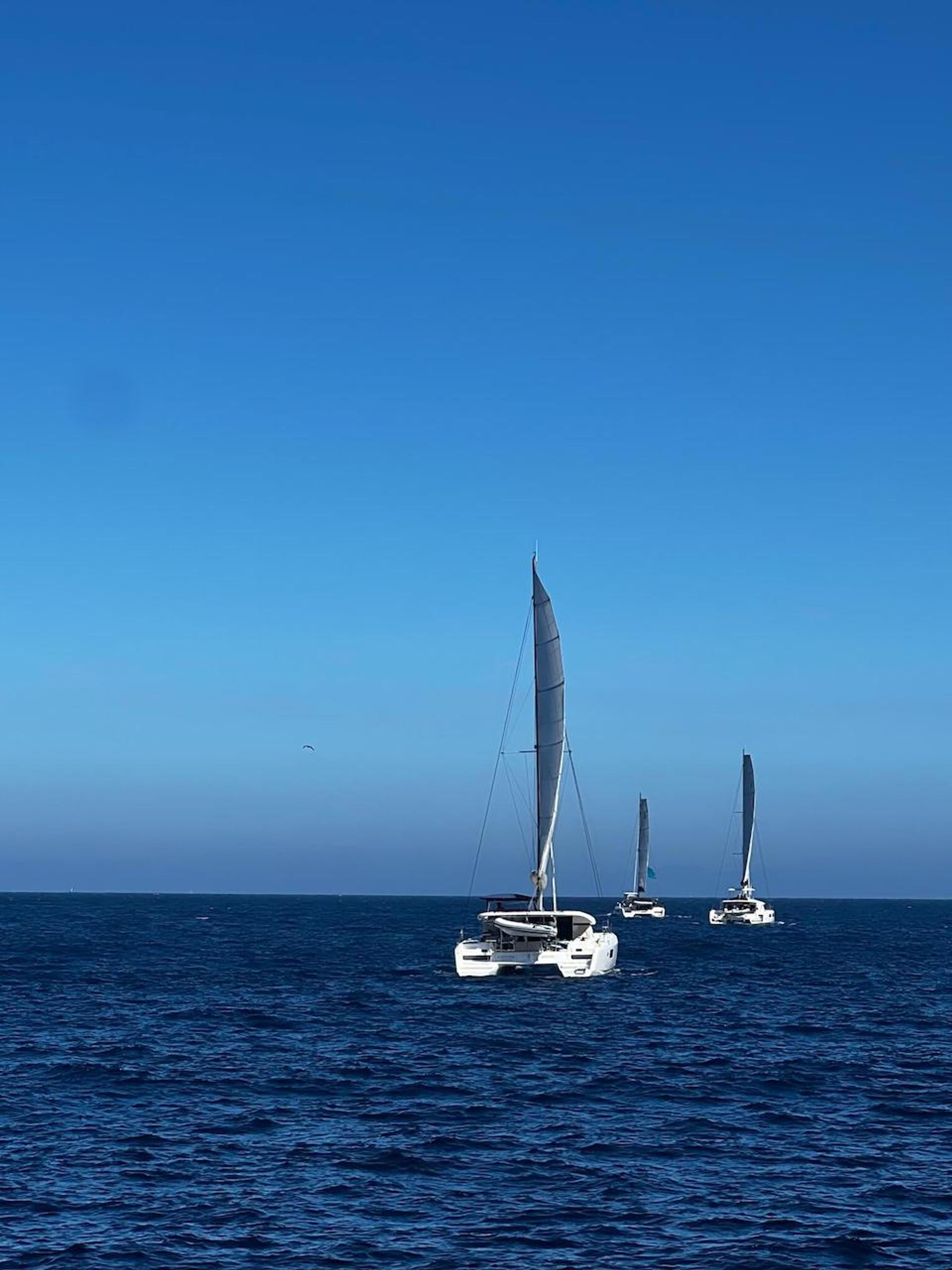 escapade lagoon 2022