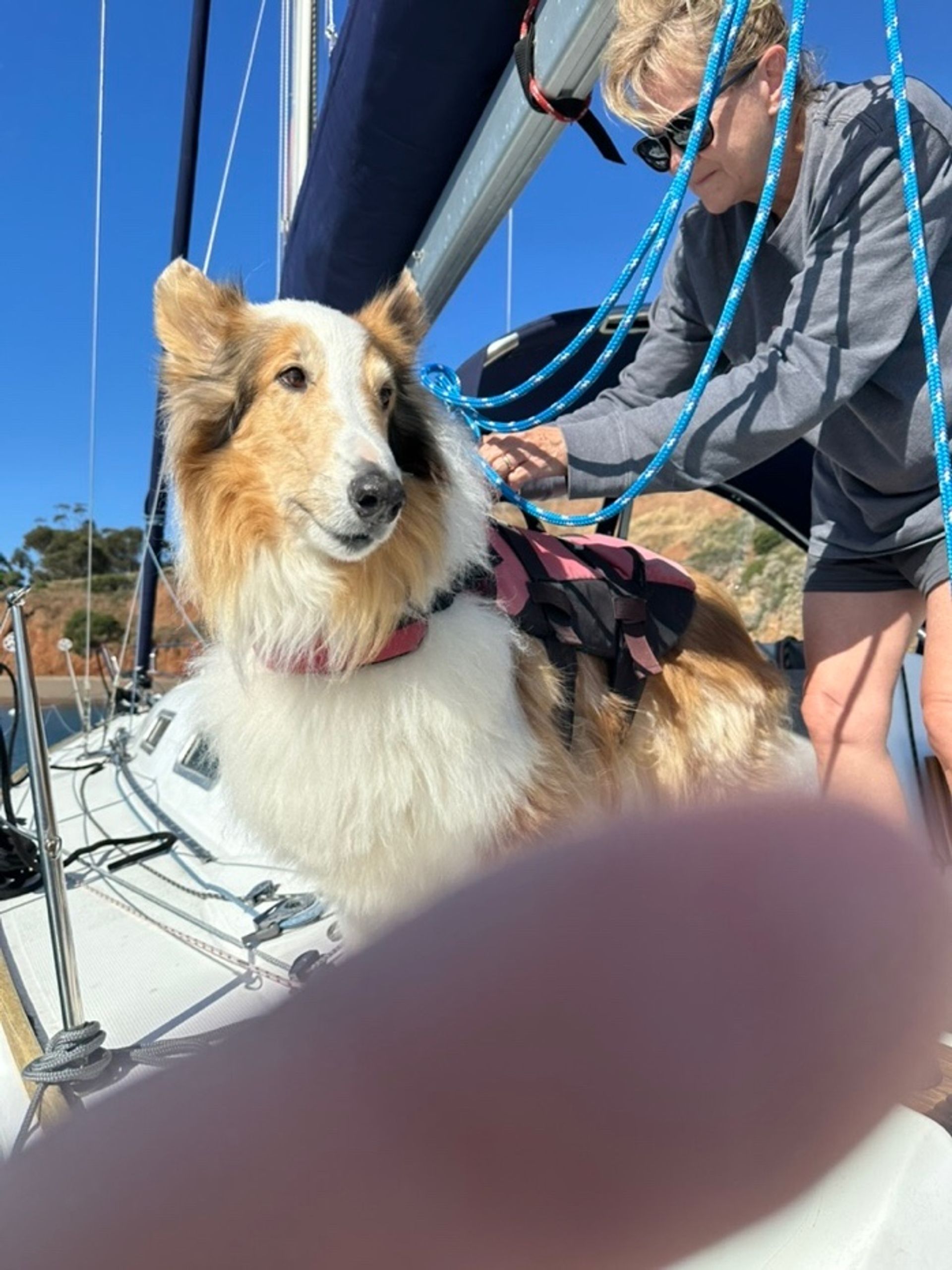 Melanie holding Clancy during a dinghy transfer
