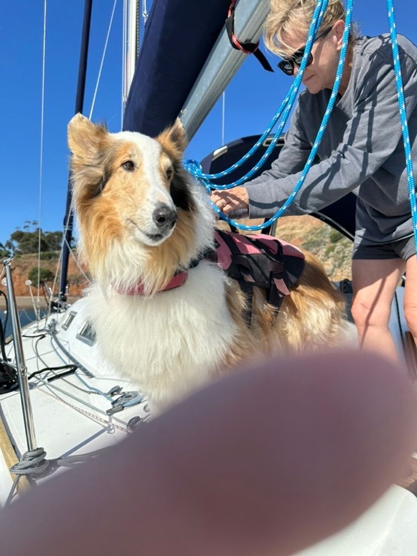 Melanie holding Clancy during a dinghy transfer