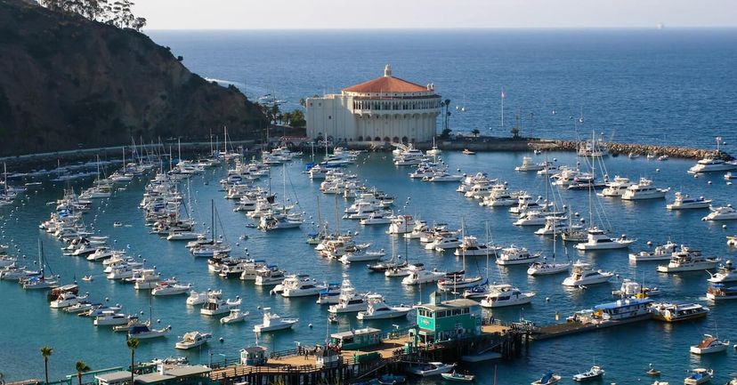 charter boat to catalina island