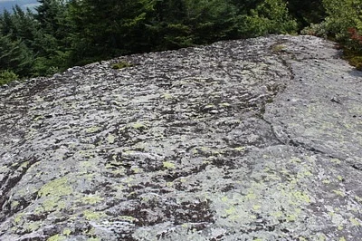 Photo of Peppered Rock Tripe (Umbilicaria deusta) taken at Box Creek Wilderness Study Area