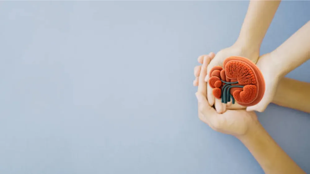 New Non-Invasive Biosensor for Early Detection of Kidney Disease Developed