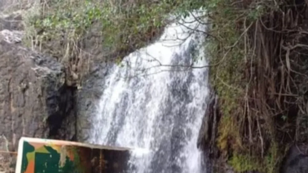 Agasthiyar Falls in Tamil Nadu Reopens for Tourists After Tiger Census