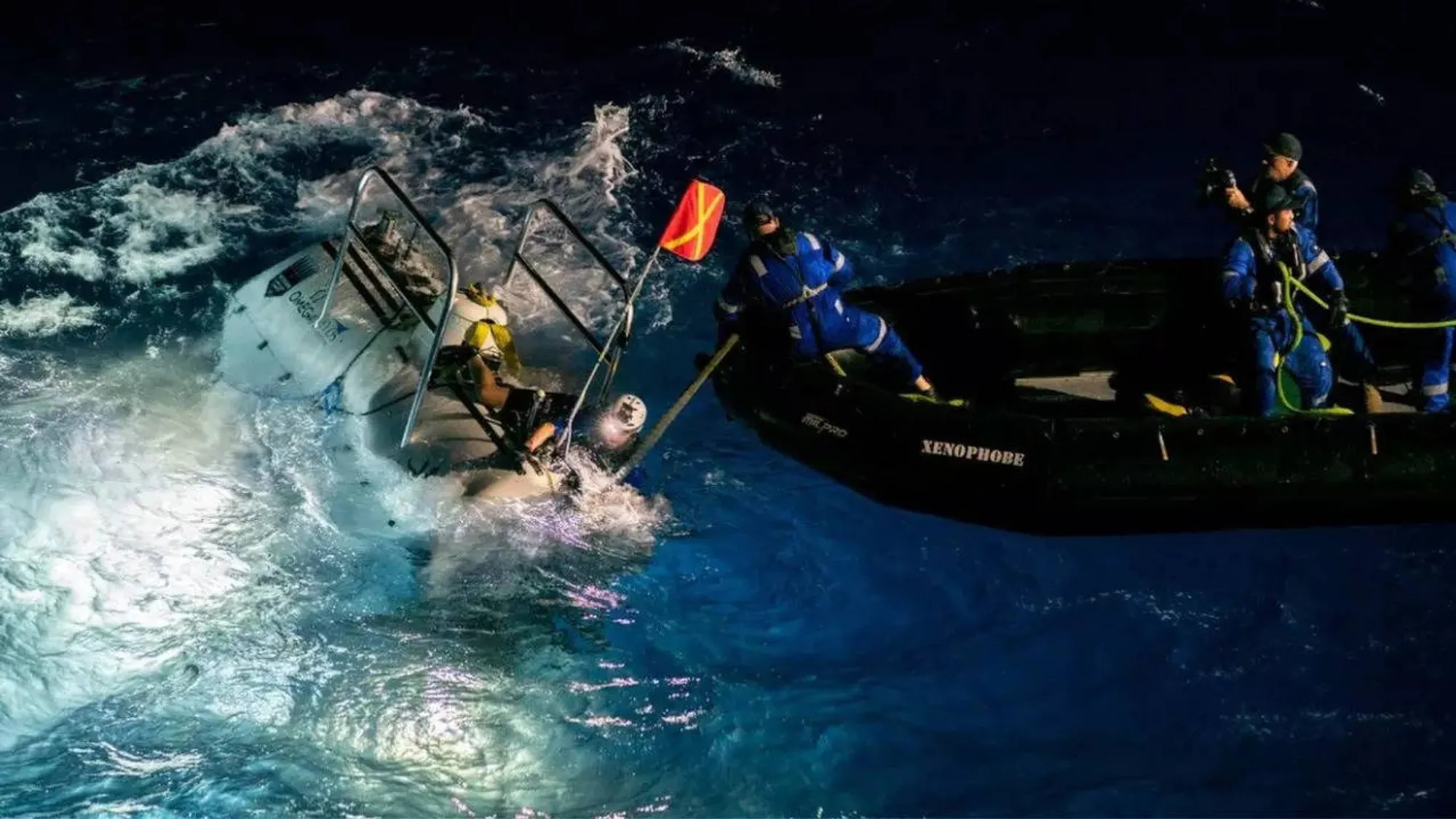 Bryde's Whales' Mysterious "Biotwang" Sounds Decoded in Mariana Trench