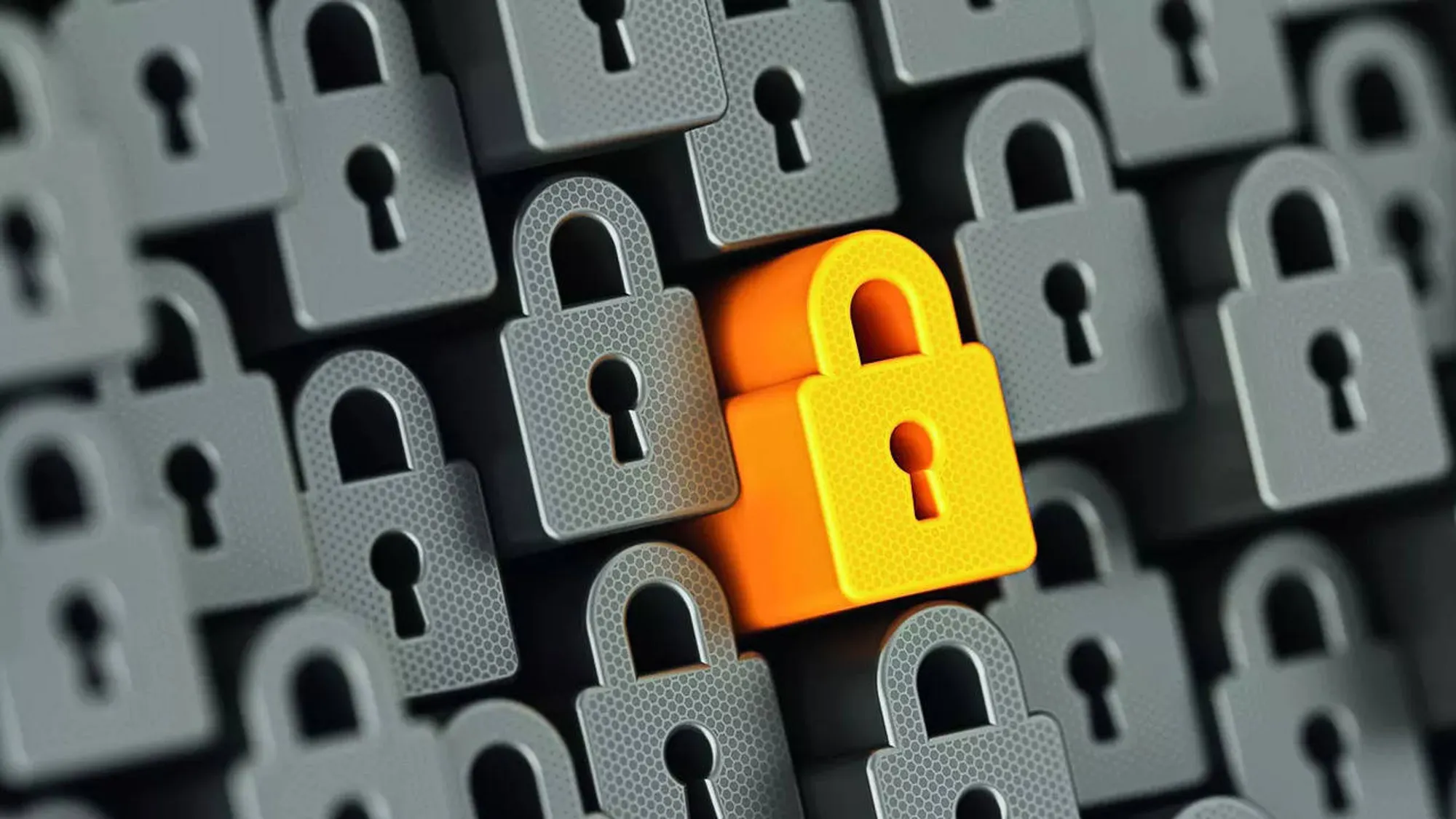 Coforge Faces $11 Million Claim from North American Client Over Data Breach