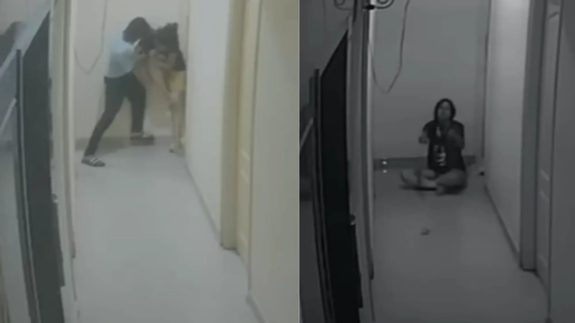 Woman Brutally Murdered in Bengaluru PG by Roommate's Boyfriend
