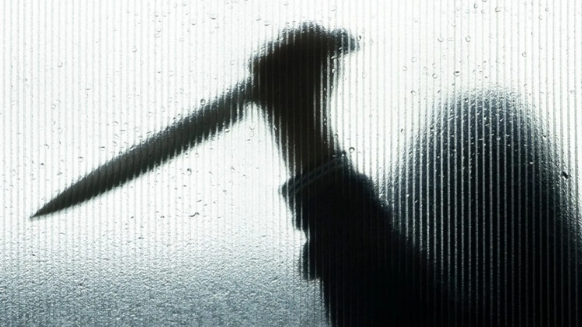 Retired Teacher Murders Wife Suspected of Affair, Dismembers Body in Bihar