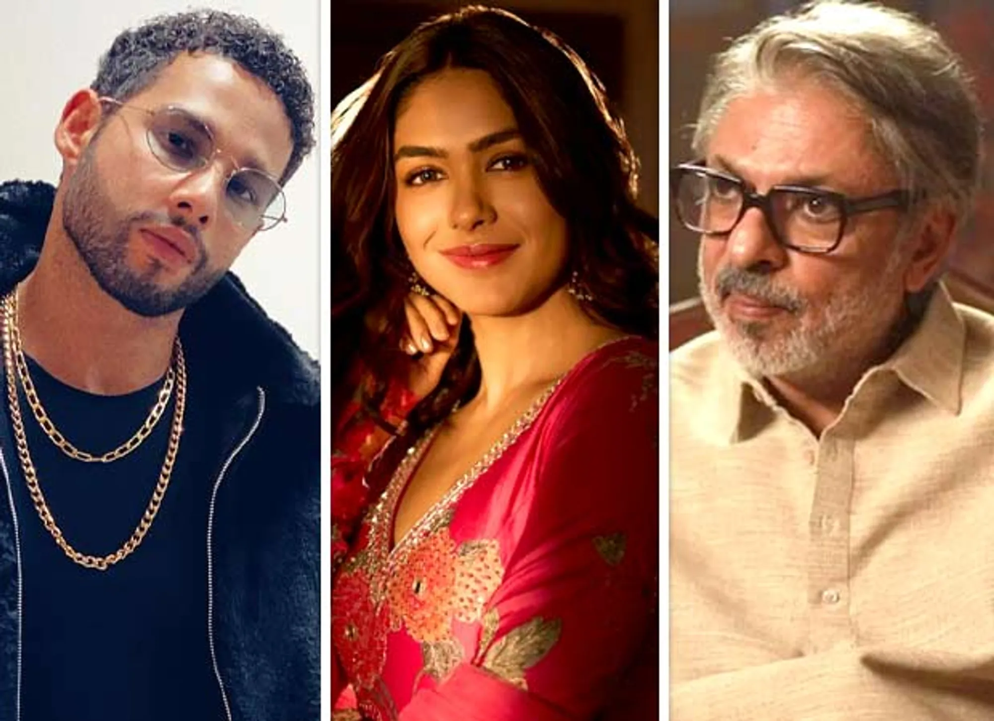 Siddhant Chaturvedi and Mrunal Thakur to Star in Musical Love Story "Tum Hi Ho"