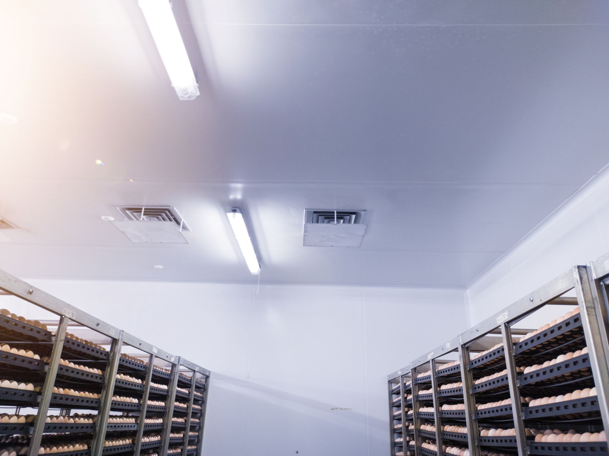 Chambre froide professionnelle