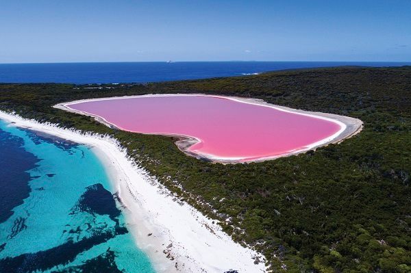 Lake Hillier Pink Lake near Esperance, South Western Australia