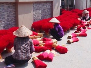 Quang Phu Cao ladies at work in the incense farms, Vietnam.